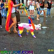 Pride08 109