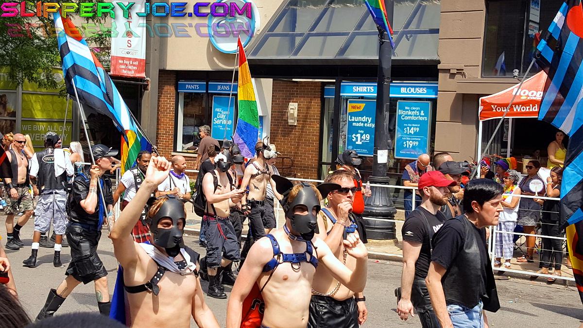 parade 219
