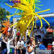 parade 281