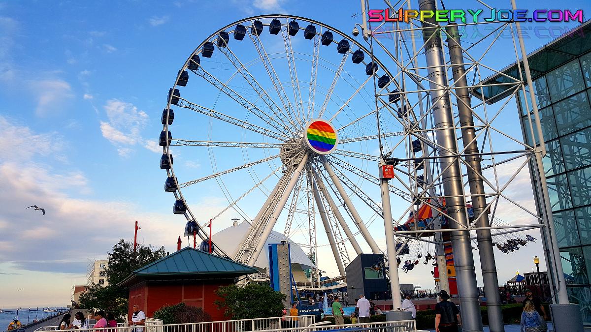 NP-Pride-2018-38