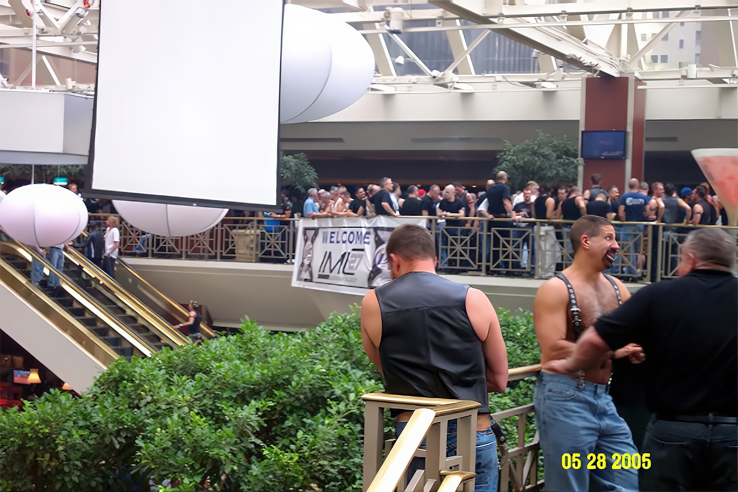 IML05 31