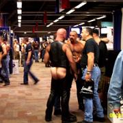 IML05 15