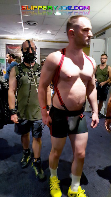 IML-19-201