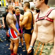 IML-19-113