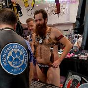 IML-19-235