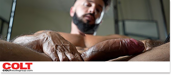 Banner-Colt Studio