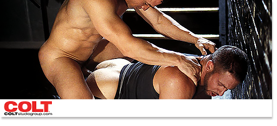 Banner-Colt Studio