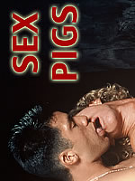 Sex Pigs